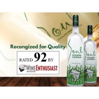 Soul Premium Cachaca logo - Similar company to Sync Daddy