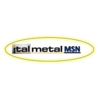 Italmetal MSN Engineering Pvt. Ltd logo - Similar company to Zmagic
