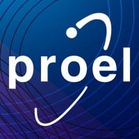 Proel Software logo - Similar company to Endasoft - Software House