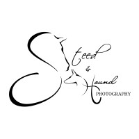 Steed and Hound Photography