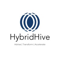 HybridHive Technology Services P Ltd logo - Similar company to Dvaitha Technologies Pvt. Ltd
