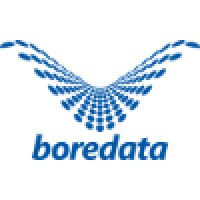 Boredata Incorporated logo - Similar company to Shaanxi Granfoo Intelligent Technology Co., Ltd.