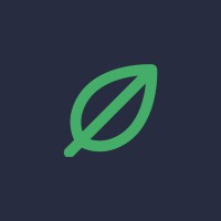 Main Leaf Games logo - Similar company to Rockapps_Studio