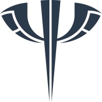 Psykinetic logo - Similar company to Blakcast Network
