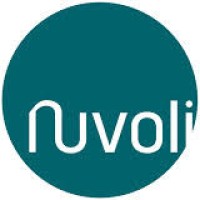 Nuvoli logo - Similar company to Núvoli Cloud Computing