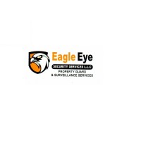 EAGLE EYE SECURITY SERVICES LLC logo - Similar company to Eagle Eye Security Services