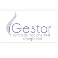 Centro Gestar de Medicina e Cirurgia Fetal logo - Similar company to Instituto Siela