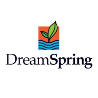 DreamSpring logo - Similar company to Foundations Entrepreneur Development Company
