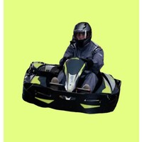 Raceview Karting logo - Similar company to Phoenix Karting Shop