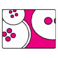 La Guerra De Los Botones