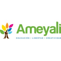 Colegio Ameyali logo - Similar company to Heart For Change