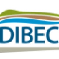 DIBEC B.V. logo - Similar company to Netaffairs Cloud, Hosting & Web Services