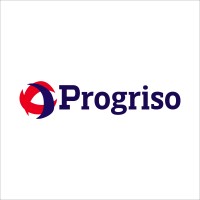 Progriso logo - Similar company to Megatecsol Inc.