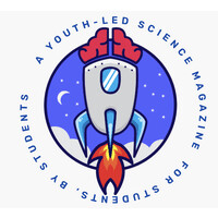 It's Not Rocket Science logo - Similar company to Aapi Youth Organization