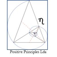 POSITIVE PRINCIPLES Lda logo - Similar company to Pi-Services Travel & Marine
