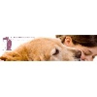 Dessin Animal Shelter