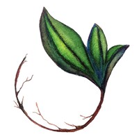 Seek Jesus Grow, Llc
