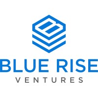 Blue Rise Ventures logo - Similar company to Local Capital Group
