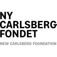 Ny Carlsbergfondet logo - Similar company to Direc - Digital Research Centre Denmark