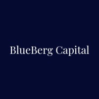 Blueberg Capital logo - Similar company to Wealth Wizardry World