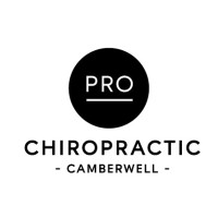 Pro Chiropractic logo - Similar company to The Chiropractic Co.