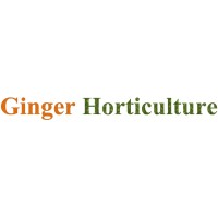 GINGER HORTICULTURE LTD logo - Similar company to Burton Hall Garden Design