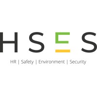 Hses Group