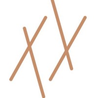 Paledin Design logo - Similar company to Foqlio