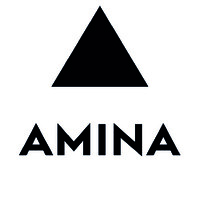 Amina Technologies Ltd logo - Similar company to Efficient Technology Ltd