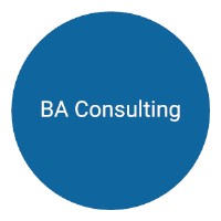 BA Consulting Services logo - Similar company to Incrementum Advisory Group