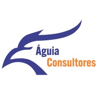 Águia Consultores logo - Similar company to Jf Consult - Hseq Management