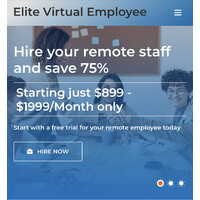 Elite Virtual Employee (EVE) logo - Similar company to Skyhawk Kinetic