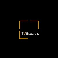 TVB socials logo - Similar company to Amruth Digital Works