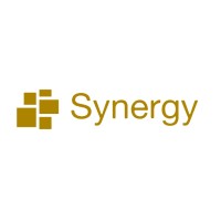 Synergy logo - Similar company to Holding Indef