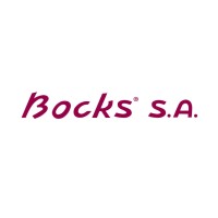 Bocks SA logo - Similar company to Witschi Electronic Ag