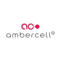 Ambercell Solutions logo - Similar company to Devtouch! Lithuania