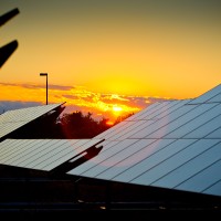 Ubuffalo Sustainability