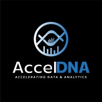 Accel DNA logo - Similar company to Micro Datalake