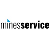 minesservice logo - Similar company to Iems Global