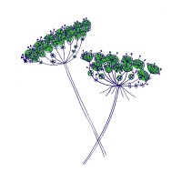 Verbena Digital logo - Similar company to Begonia Digital