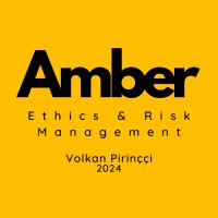 Amber Ethics & Risk Management logo - Similar company to Disability-Inclusive Disaster Risk Reduction Network (Didrrn)