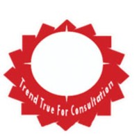 شركة الاتجاه السليم للاستشارات logo - Similar company to مدارك لخدمات الاعمال | Madaark For Business Services