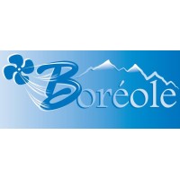 Boreole logo - Similar company to Frielectric
