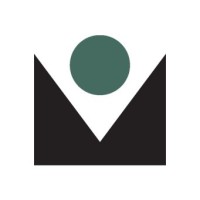 Mindshare Strategies, Inc.