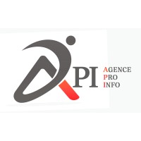 Agence Pro Info logo - Similar company to Aperaf