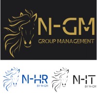 N-GM logo - Similar company to Mlk Consulting Srl
