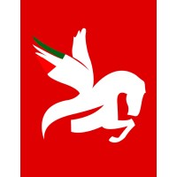 PEGASUS logo - Similar company to Space Power Generator