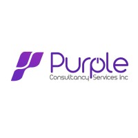Purple Consultancy Services LLC logo - Similar company to Rezton Consulting Llc