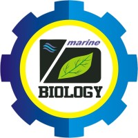 Himpunan Mahasiswa Biologi ITS logo - Similar company to Himpunan Mahasiswa Aktuaria Its Surabaya