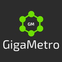 GigaMetro - Outsourced Salesforce Admin logo - Similar company to Adopt An Admin | Salesforce Professional Services